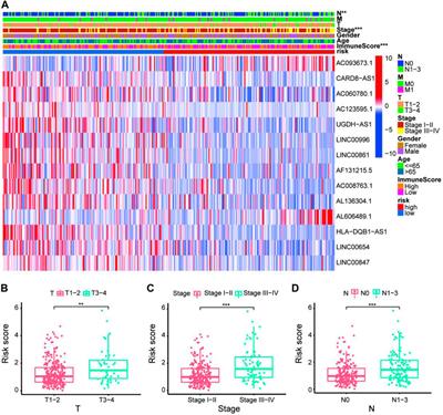 Identification of an Autophagy-Related lncRNA Prognostic Signature and Related Tumor Immunity Research in Lung Adenocarcinoma